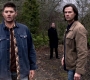 SPN_1070.jpg