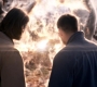 SPN_1075.jpg