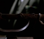 SPN_1491.jpg