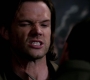 SPN_1528.jpg