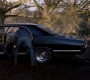 SPN_1613.jpg