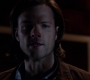 SPN_1181.jpg