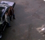 SPN_1255.jpg