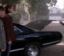 SPN_1326.jpg