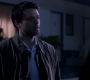 SPN_1369.jpg