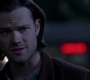 SPN_1379.jpg