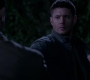 SPN_1411.jpg