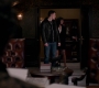 SPN_1463.jpg