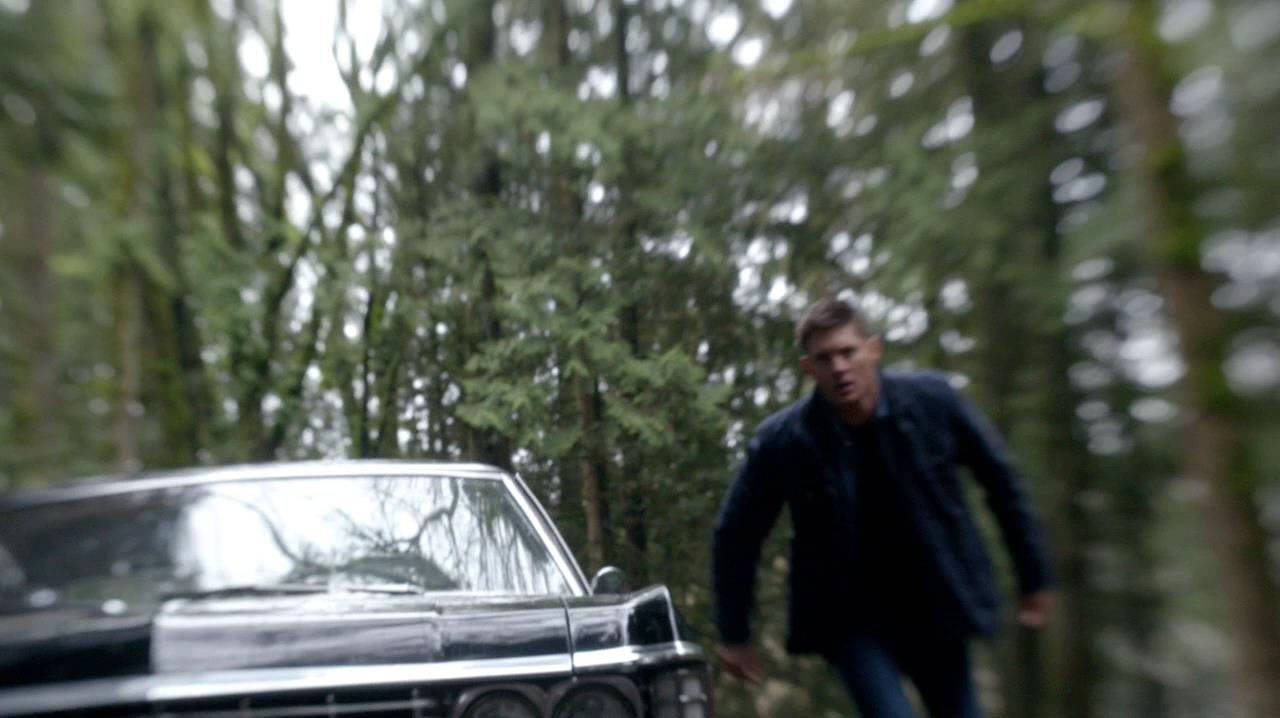 SPN_0883.jpg
