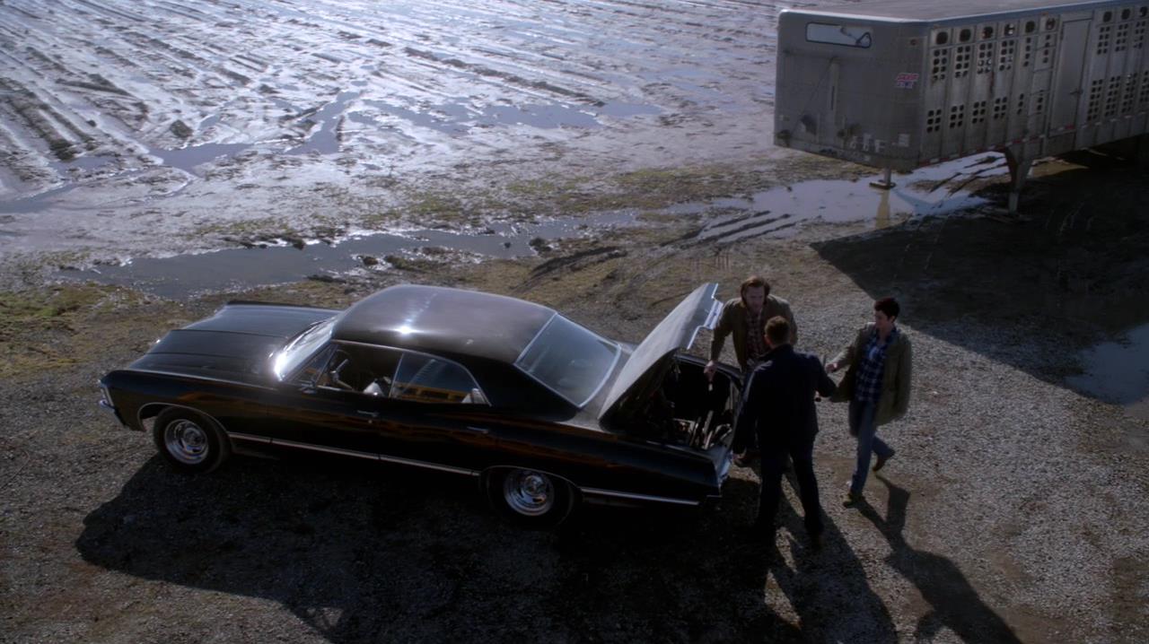 SPN_1008.jpg