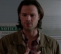SPN_0225.jpg