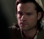 SPN_0318.jpg