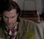 SPN_0345.jpg