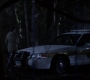 SPN_0464.jpg