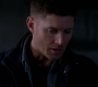 SPN_0619.jpg