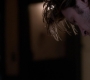 Filename=SPN_0833.jpg
Filesize=40KiB
Dimensions=1280x718
Date added=Sep 30, 2021 SPN_0833.jpg