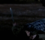 SPN_0868.jpg
