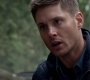 SPN_0917.jpg