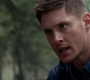 SPN_0918.jpg