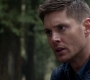 SPN_0934.jpg