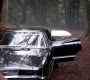 SPN_0953.jpg