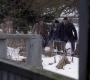 Filename=SPN_1049.jpg
Filesize=87KiB
Dimensions=1280x718
Date added=Sep 30, 2021 SPN_1049.jpg