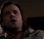 SPN_1379.jpg