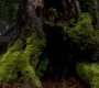 SPN_1481.jpg
