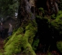 SPN_1482.jpg
