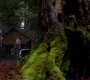 SPN_1483.jpg