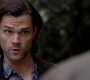 SPN_1487.jpg
