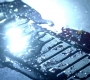SPN_0662.jpg
