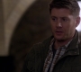 SPN_0769.jpg