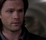 SPN_0783.jpg