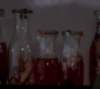 SPN_0791.jpg