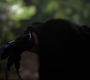 SPN_1103.jpg