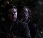 SPN_1131.jpg