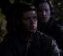 SPN_1133.jpg