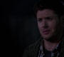SPN_1167.jpg
