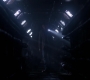 SPN_1338.jpg
