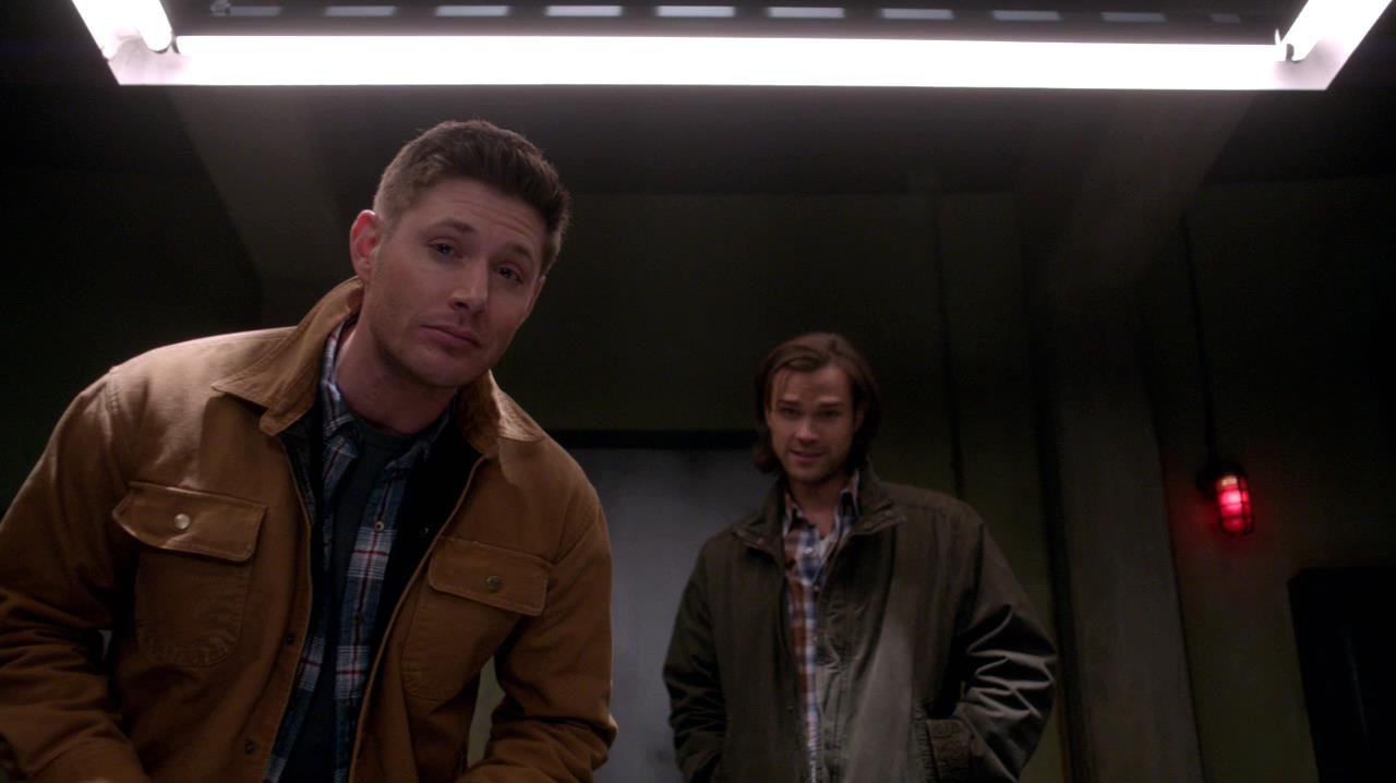 SPN_0529.jpg