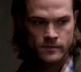 SPN_0406.jpg