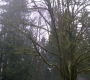 SPN_0789.jpg
