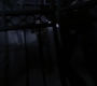 SPN_0980.jpg