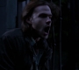 SPN_0982.jpg