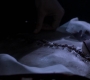 SPN_1022.jpg