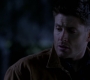 SPN_1049.jpg