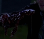 SPN_1051.jpg