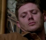 SPN_1317.jpg