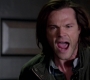 SPN_1377.jpg